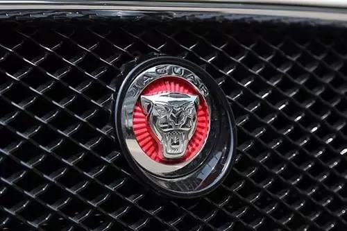 車標(biāo)上的動物都是啥來頭？看完又能出去裝X了