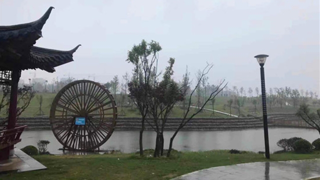 周口：春節(jié)，來這些游園嗨皮吧