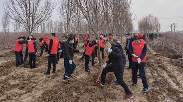 栽下樹苗，留下新綠