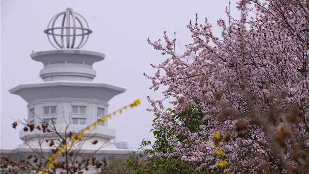 陽(yáng)春三月，踏青賞花正當(dāng)時(shí)